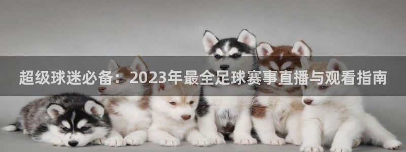超级球迷必备：2023年最全足球赛事直播与观看指南