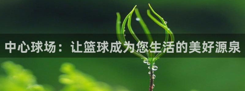 中心球场：让篮球成为您生活的美好源泉