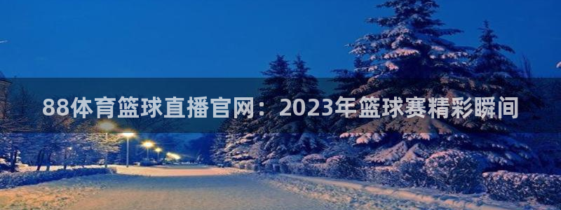 88体育篮球直播官网：2023年篮球赛精彩瞬间