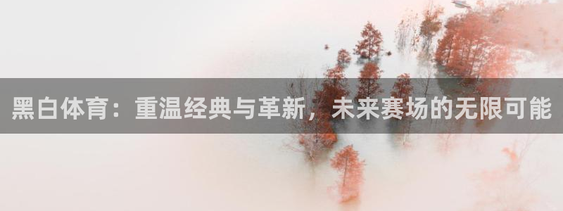 黑白体育：重温经典与革新，未来赛场的无限可能