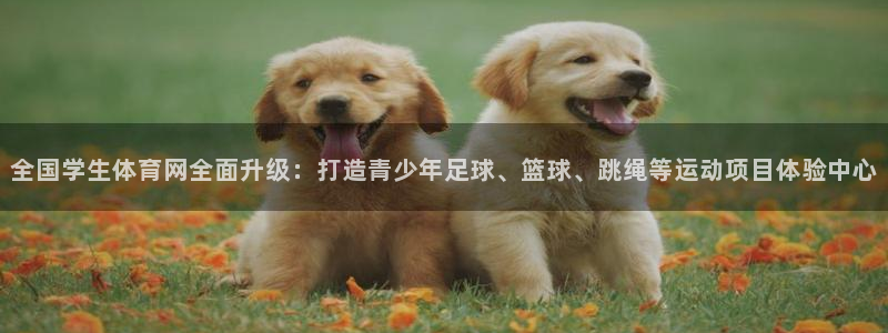 全国学生体育网全面升级：打造青少年足球、篮球、跳绳等运动项目体验中心