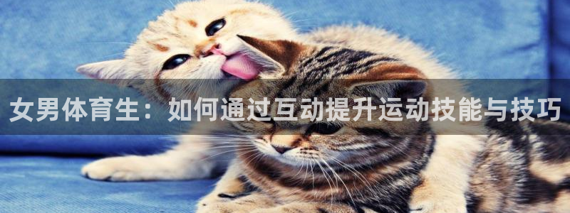 女男体育生：如何通过互动提升运动技能与技巧