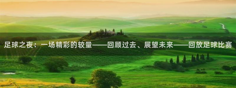 足球之夜：一场精彩的较量——回顾过去、展望未来——回放足球比赛