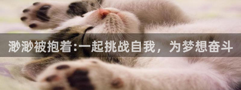 渺渺被抱着:一起挑战自我，为梦想奋斗