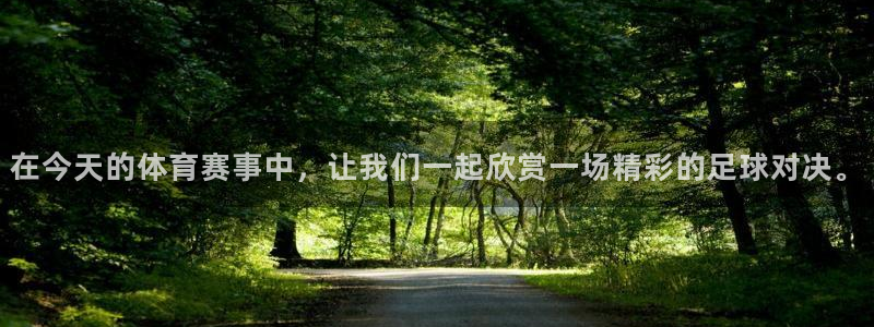 在今天的体育赛事中，让我们一起欣赏一场精彩的足球对决。