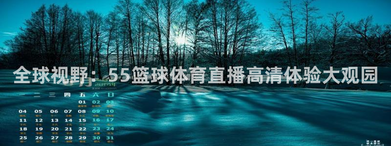 xc60 全新：全球视野：55篮球体育直播高清体验大观园