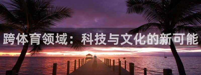 钢结构xc表示什么：跨体育领域：科技与文化的新可能