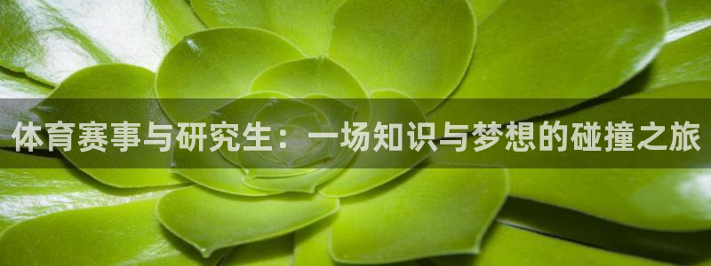 xc是女性哪里的简称：体育赛事与研究生：一场知识与梦想的碰撞之旅