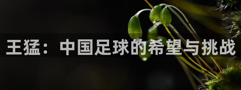 xc是什么简称：王猛：中国足球的希望与挑战