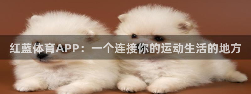 xc什么意思网络用语：红蓝体育APP：一个连接你的运动生活的地方