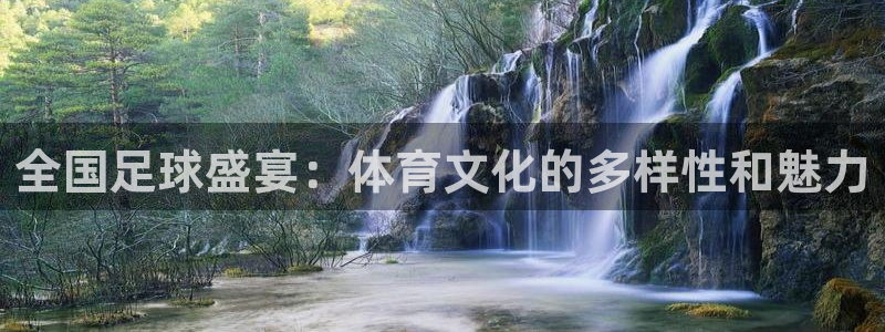 杏彩xc集团股票：全国足球盛宴：体育文化的多样性和魅力