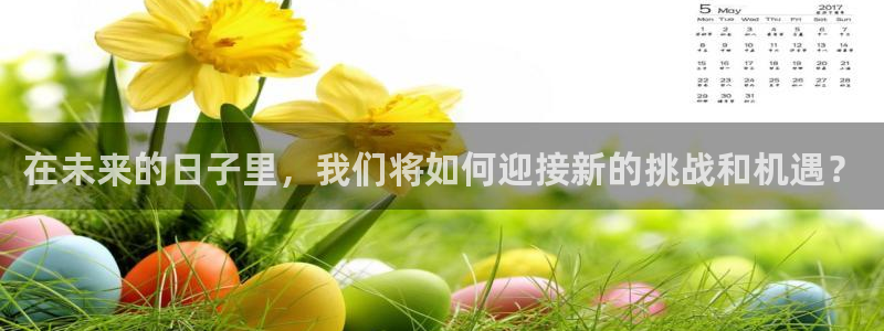 xc是谁：在未来的日子里，我们将如何迎接新的挑战和机遇？
